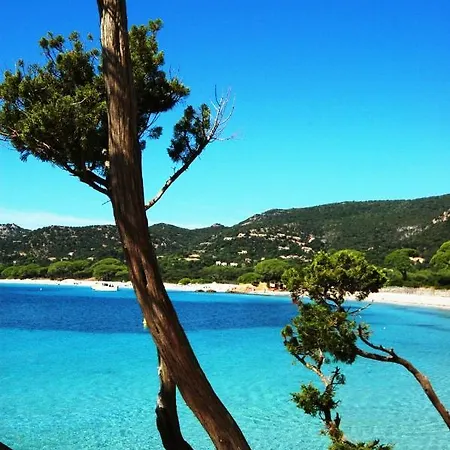 Air Conditioning 4 Persons - 500 M - Near Porto Vecchio Zonza