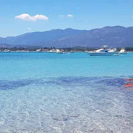 Marina Di Pinarello Bilo 4 Pax With Air Conditioning Near Porto Vecchio Appartement